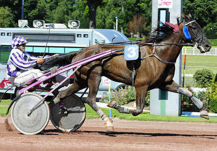 Actualités Hippiques